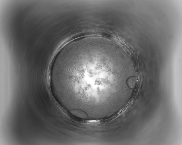 X0000096480053200801241452