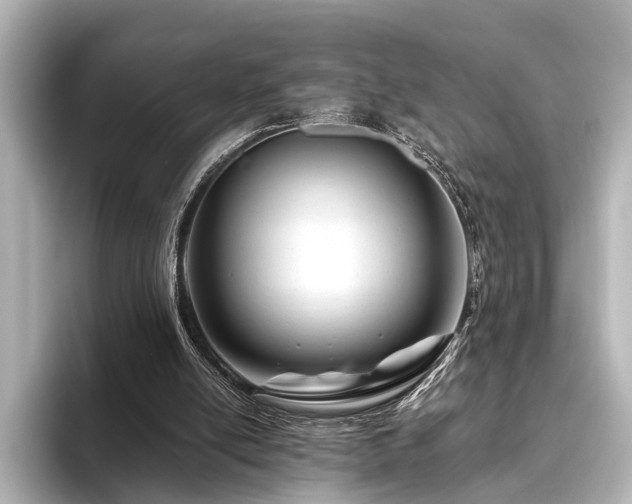 X0000096480054200801241452