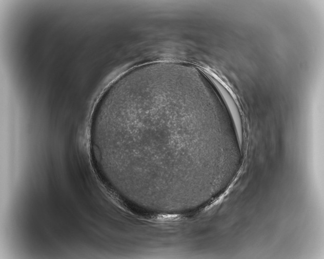 X0000096480055200801241452