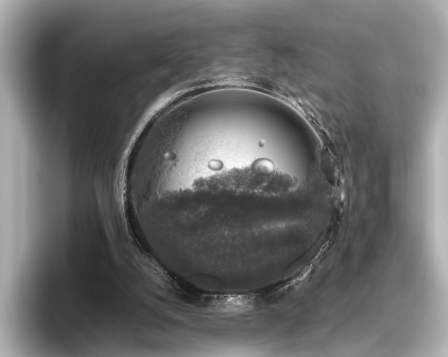 X0000096480056200801241452