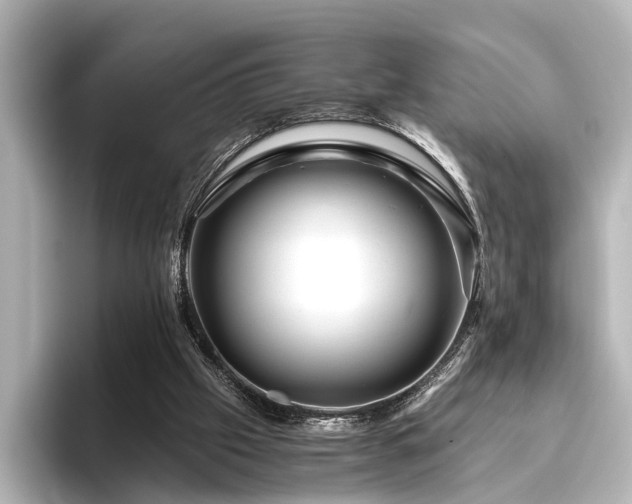 X0000096480057200801241452