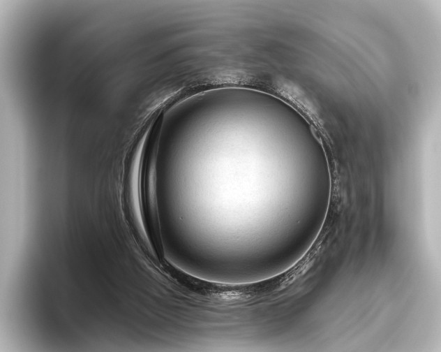 X0000096480058200801241452