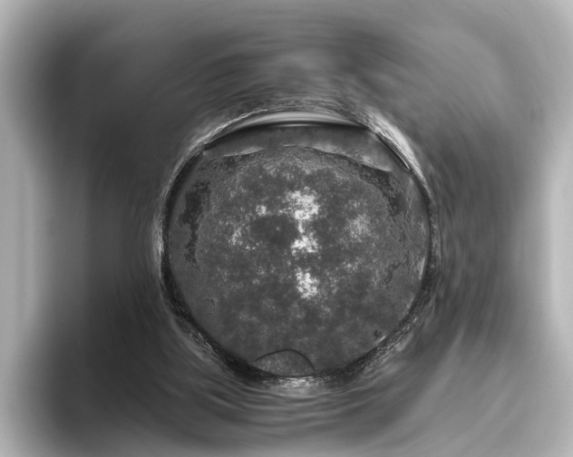 X0000096480059200801241452