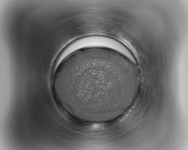 X0000096480060200801241452