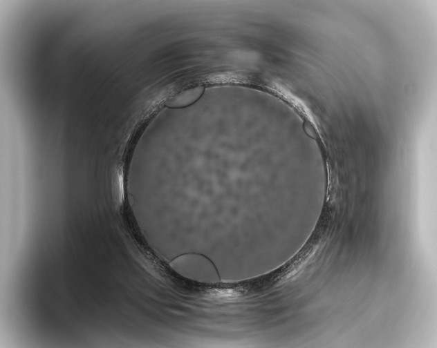 X0000096480061200801241452