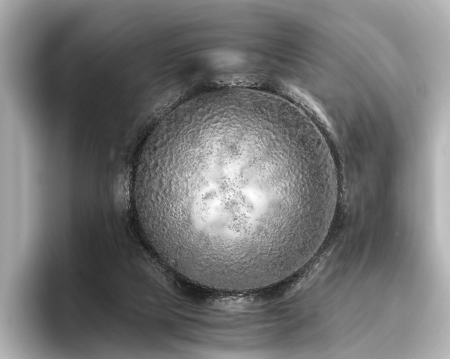 X0000096480065200801241453