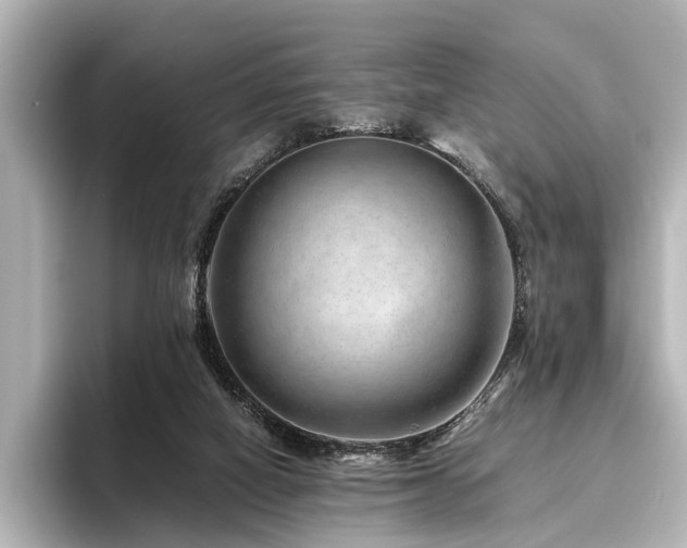 X0000096480066200801241453