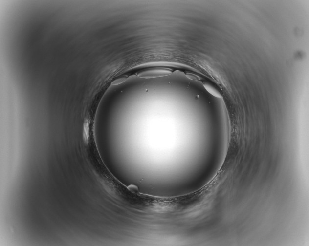 X0000096480070200801241453