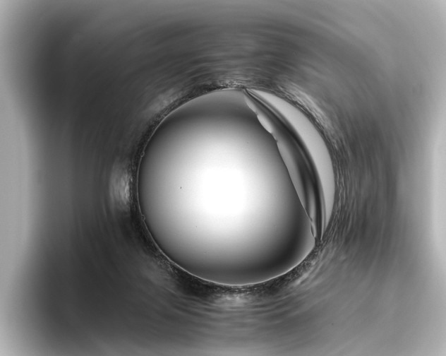 X0000096480071200801241453