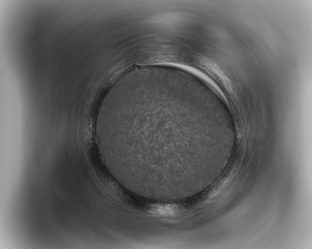 X0000096480073200801241453