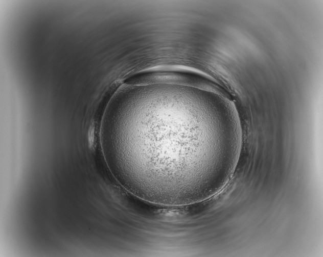 X0000096480074200801241453