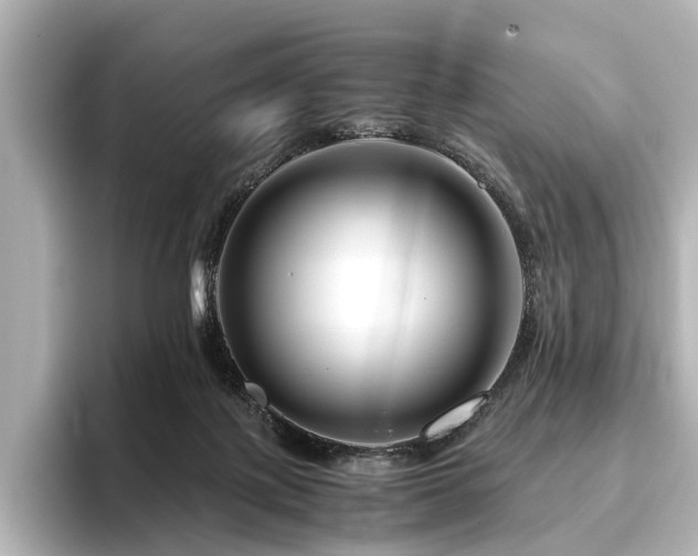 X0000096480075200801241453