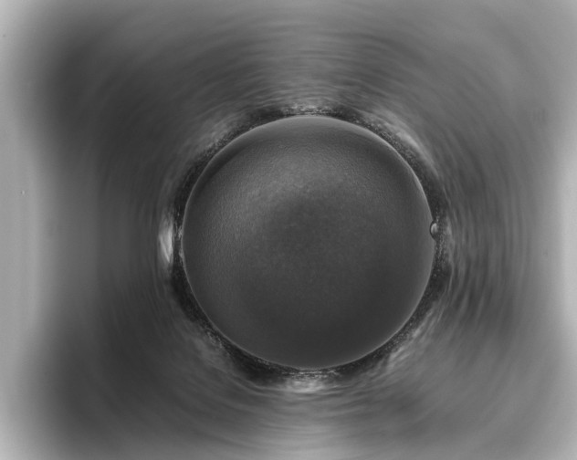 X0000096480076200801241453