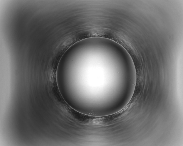 X0000096480078200801241453