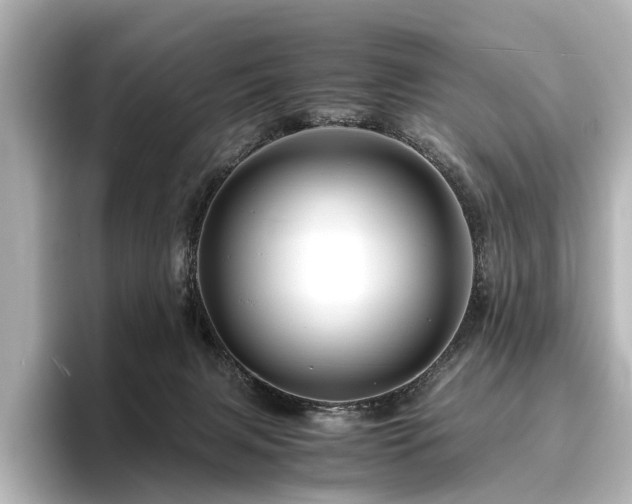 X0000096480079200801241453