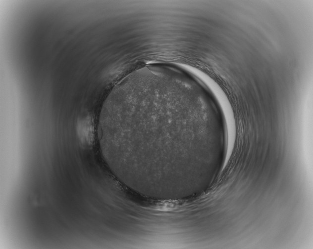 X0000096480080200801241453