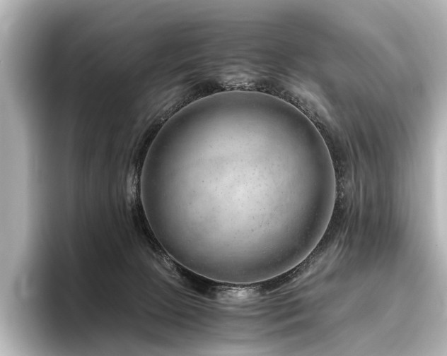 X0000096480081200801241453