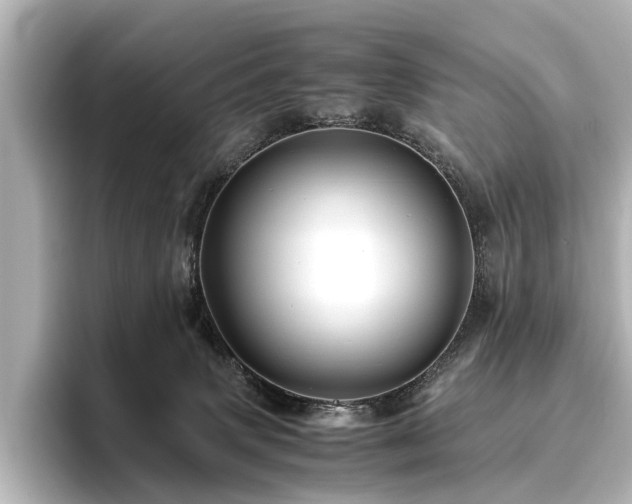 X0000096480083200801241453