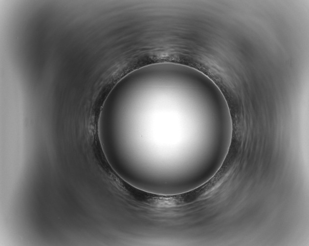 X0000096480085200801241453