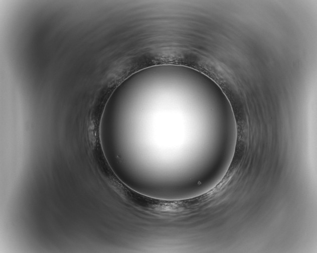 X0000096480086200801241453