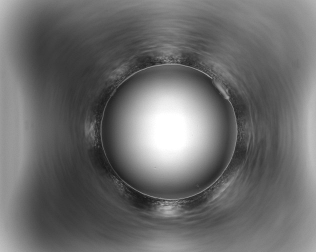 X0000096480088200801241453