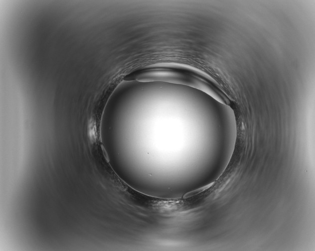 X0000096480089200801241453