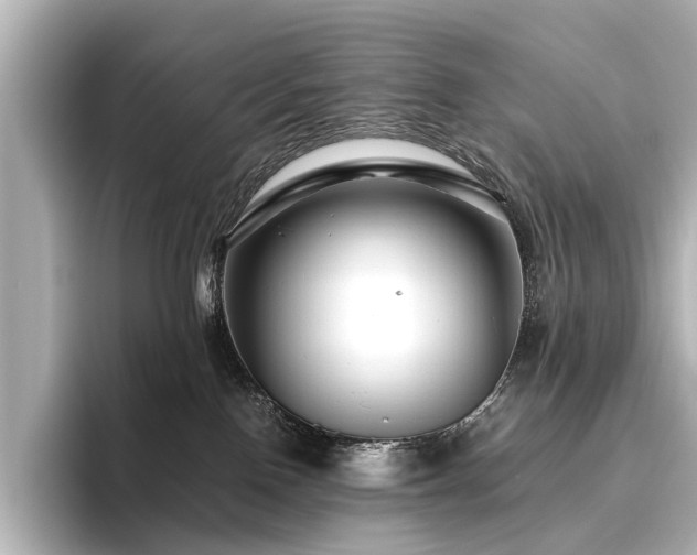 X0000096480090200801241453