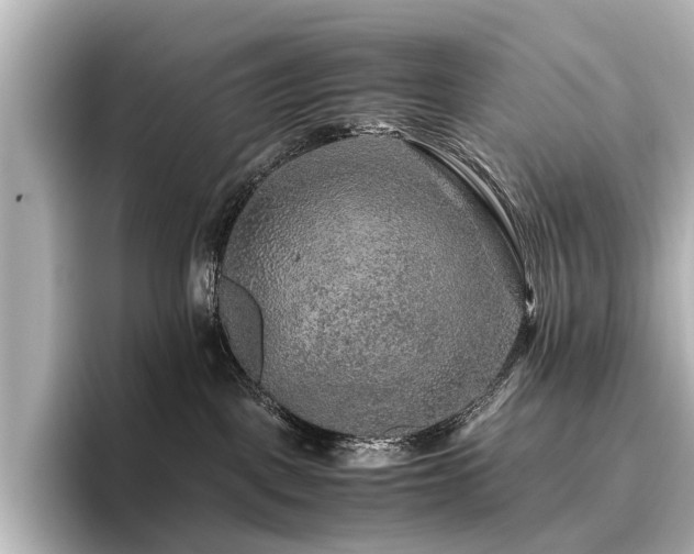 X0000096480093200801241453