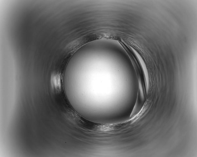 X0000096480094200801241453