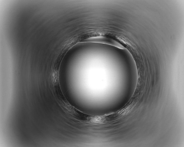 X0000096480096200801241453