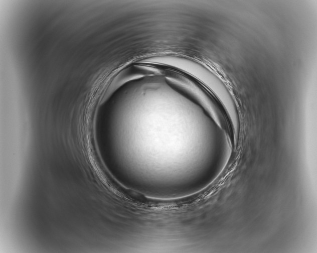 X0000096480097200801241452