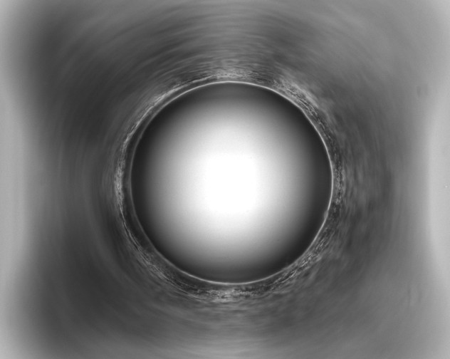 X0000096480098200801241452