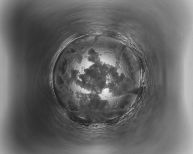 X0000096480099200801241452