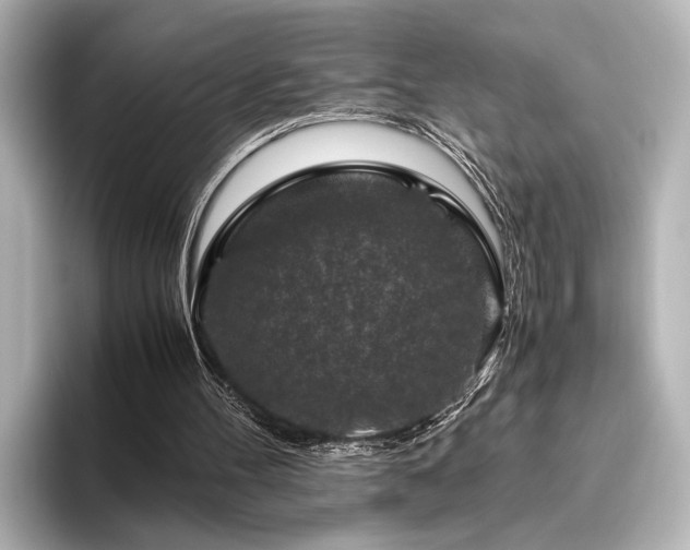 X0000096480100200801241452