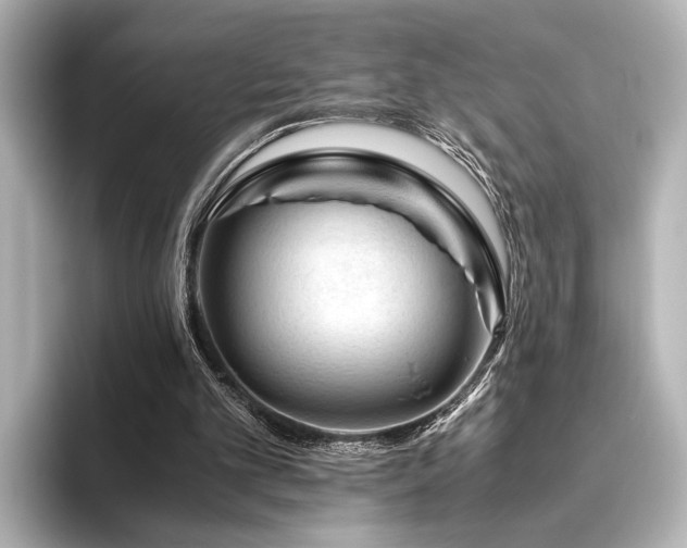 X0000096480101200801241452