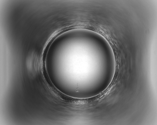 X0000096480102200801241452