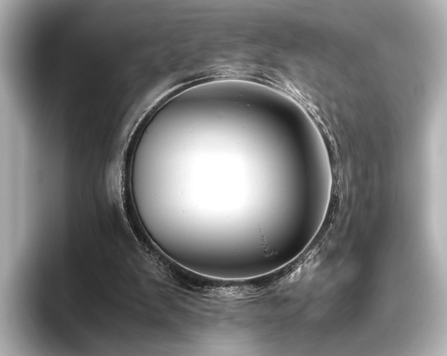 X0000096480103200801241452