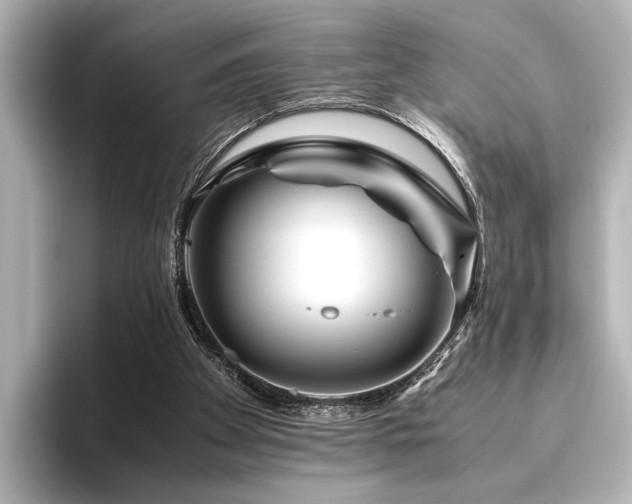 X0000096480105200801241452