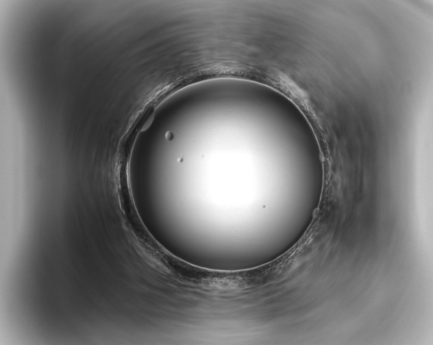 X0000096480106200801241452