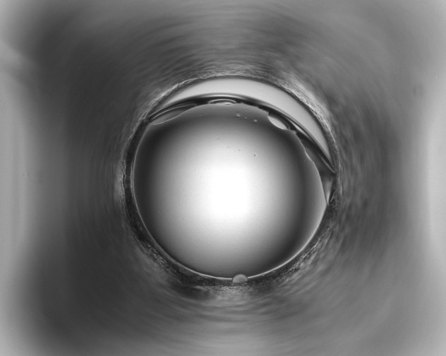 X0000096480107200801241452