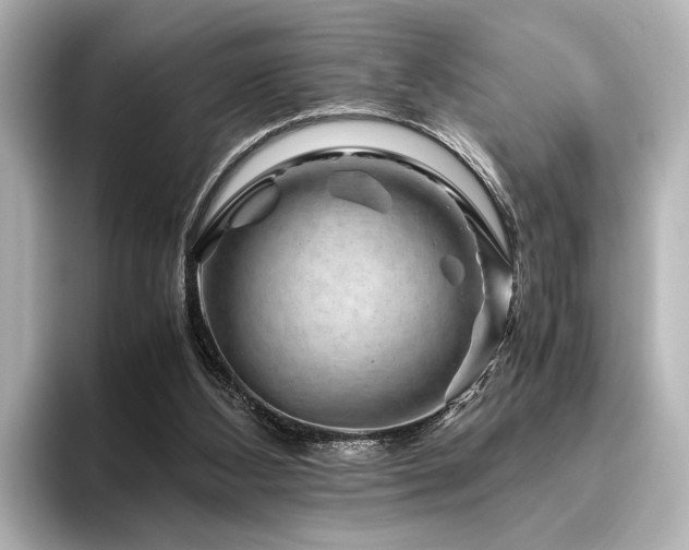 X0000096480108200801241452