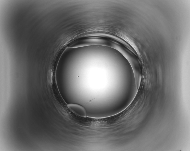 X0000096480109200801241452