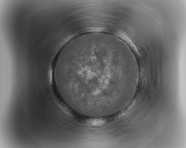 X0000096480110200801241452