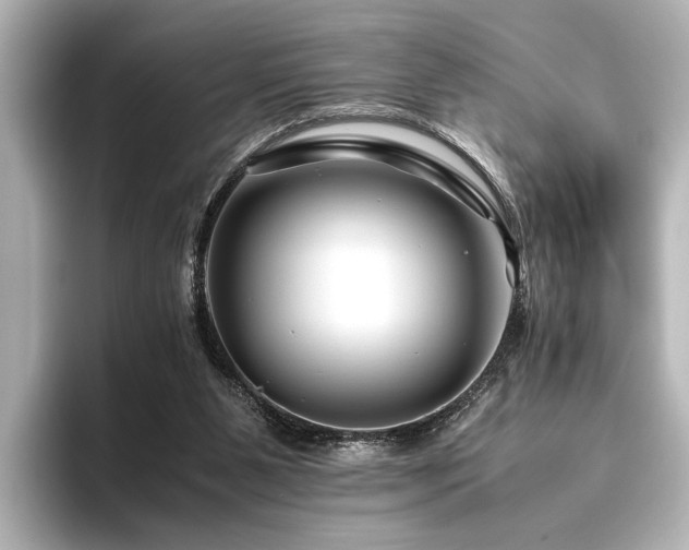 X0000096480111200801241452