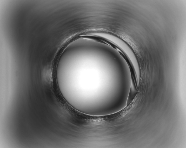 X0000096480112200801241452