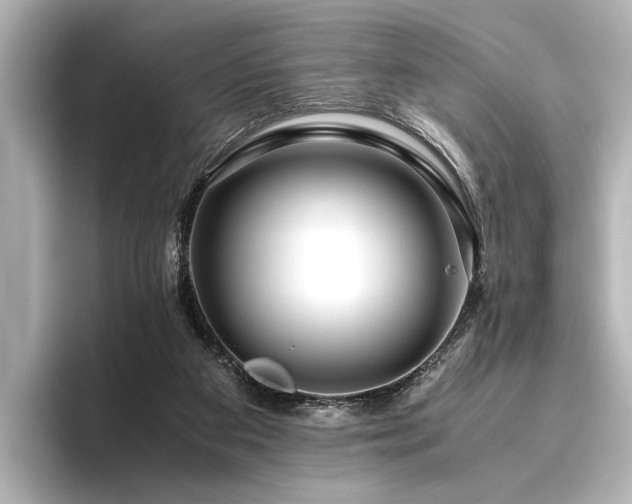 X0000096480113200801241452