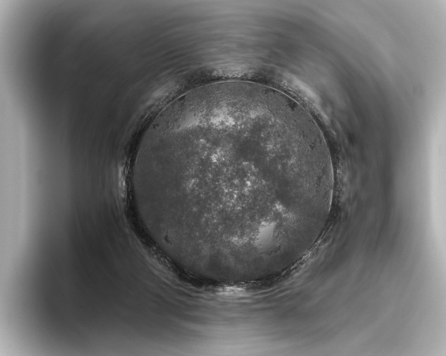 X0000096480114200801241452