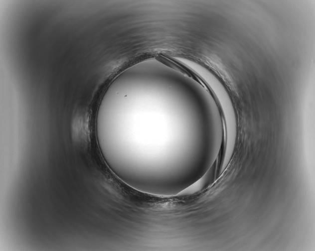 X0000096480116200801241452