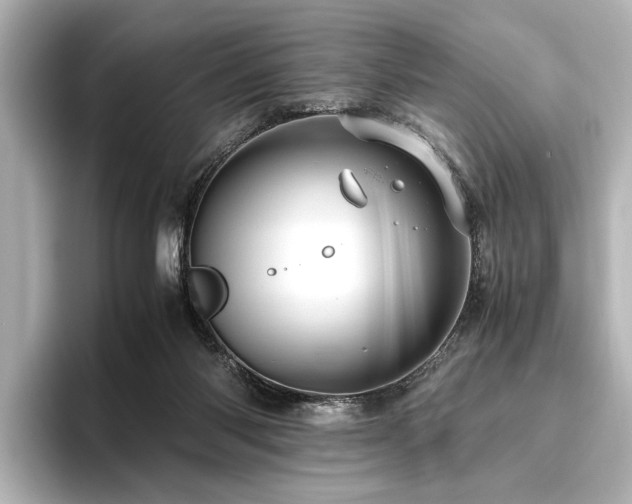 X0000096480118200801241452