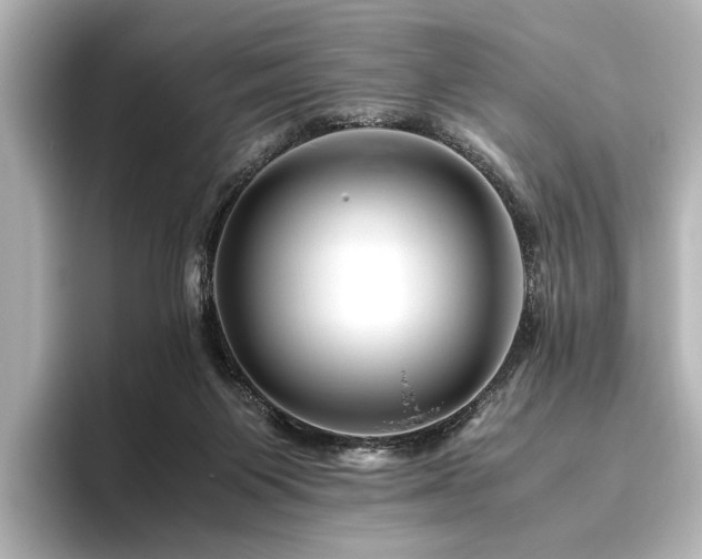 X0000096480119200801241452